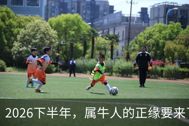 2026下半年，属牛人的正缘要来了，这两个月最关键！