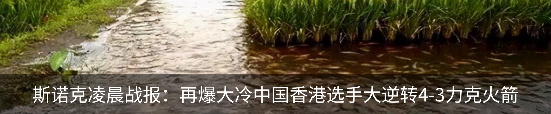 资讯动态